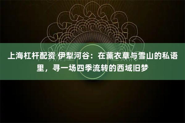上海杠杆配资 伊犁河谷：在薰衣草与雪山的私语里，寻一场四季流转的西域旧梦