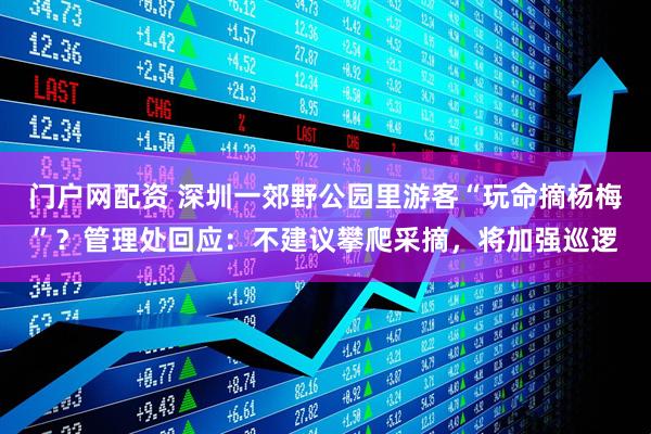 门户网配资 深圳一郊野公园里游客“玩命摘杨梅”？管理处回应：不建议攀爬采摘，将加强巡逻